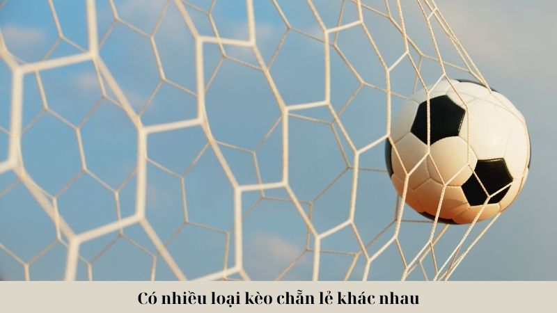 Có nhiều loại kèo chẵn lẻ khác nhau