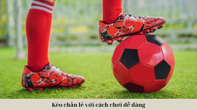 Cách tham gia chơi kèo chẵn lẻ cho anh em newbie đơn giản